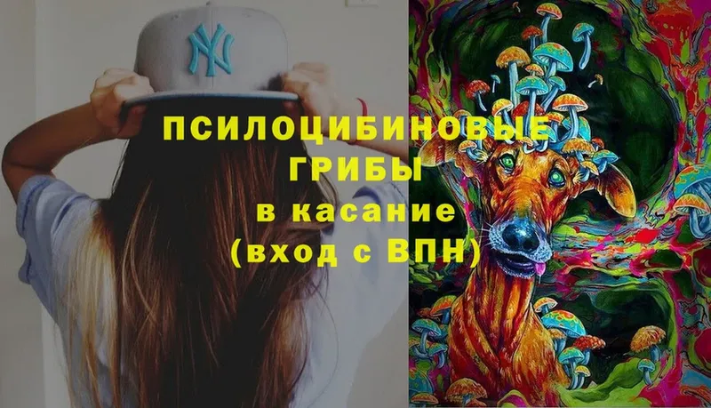 как найти   MEGA ССЫЛКА  Галлюциногенные грибы MAGIC MUSHROOMS  Богородск 